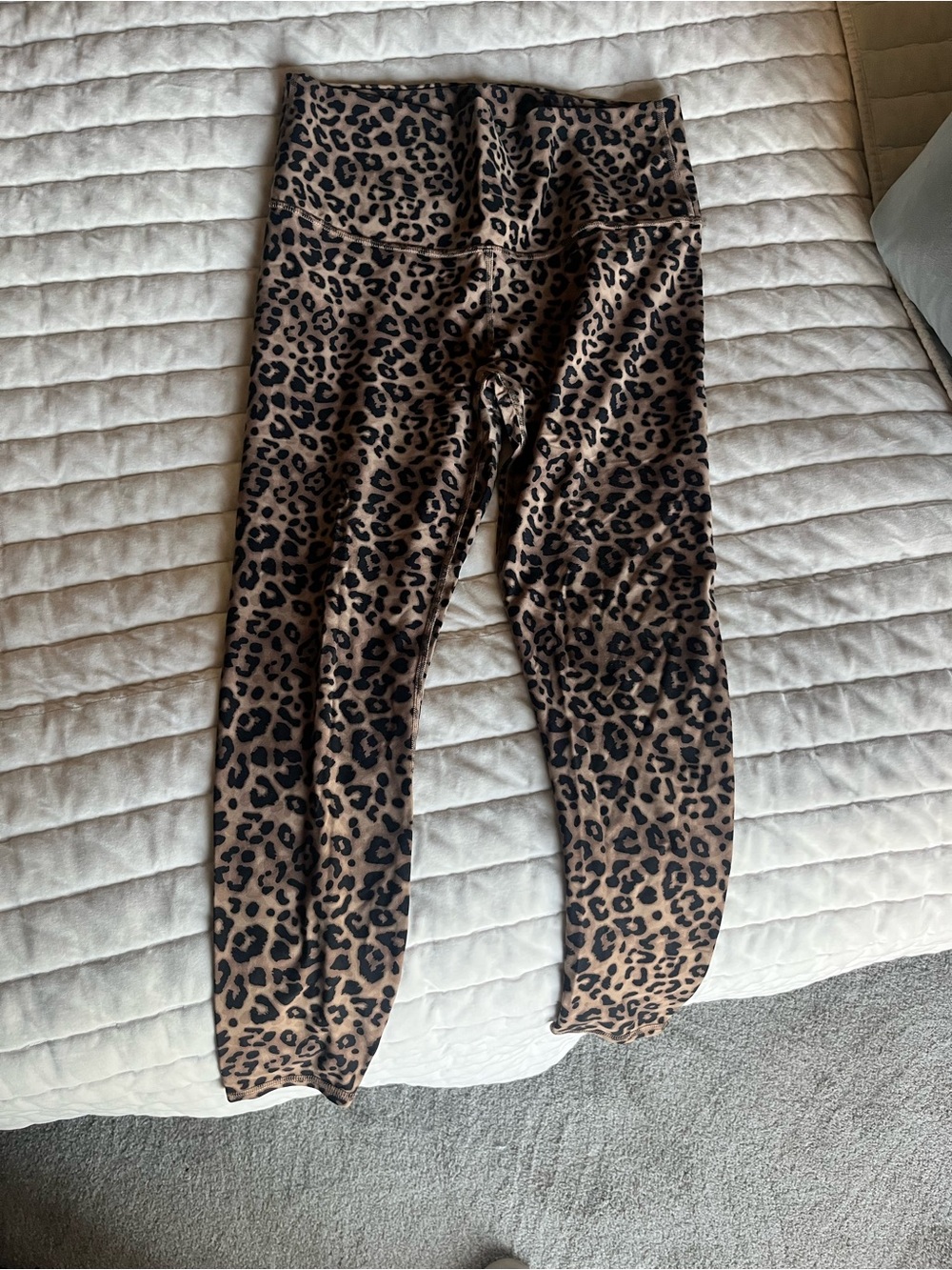 Leopard Print Leggings